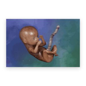 3D Pro-Life Card