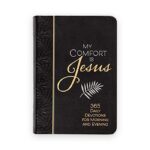 My Comfort Is Jesus