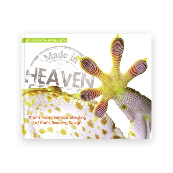 Made in Heaven
