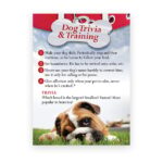 Dog Trivia & Training (Pack of 100)
